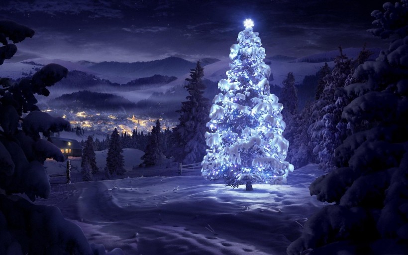 璀璨圣诞树图片(15张)