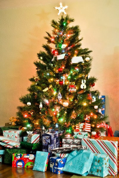 圣诞节可爱圣诞树装束图片(14张)
