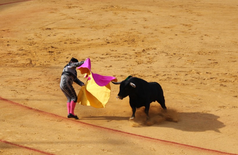 西班牙斗牛图片(13张)