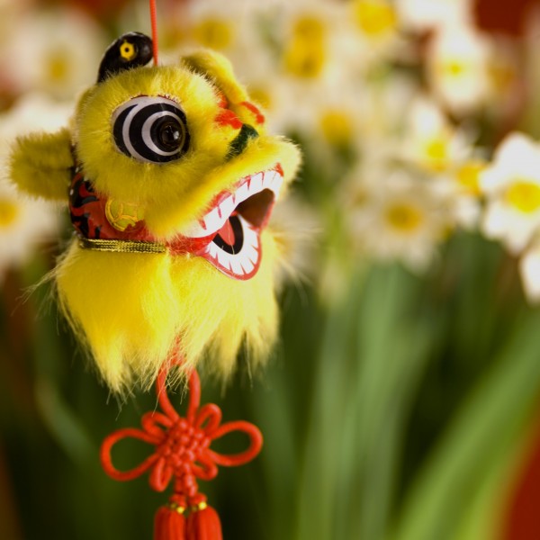新年气氛设计素材图片(47张)