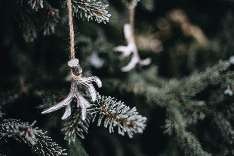 圣诞装饰在树上的挂饰图片(11张)
