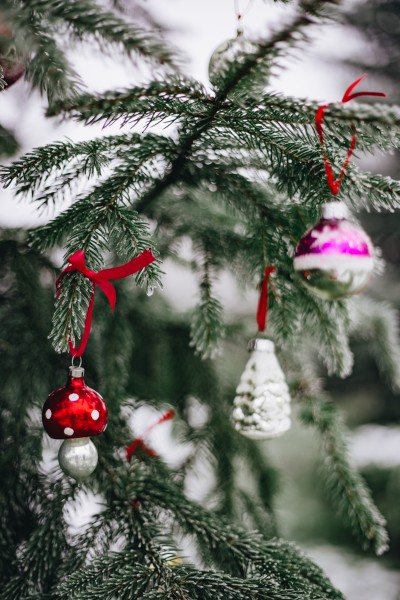 圣诞装饰在树上的挂饰图片(11张)