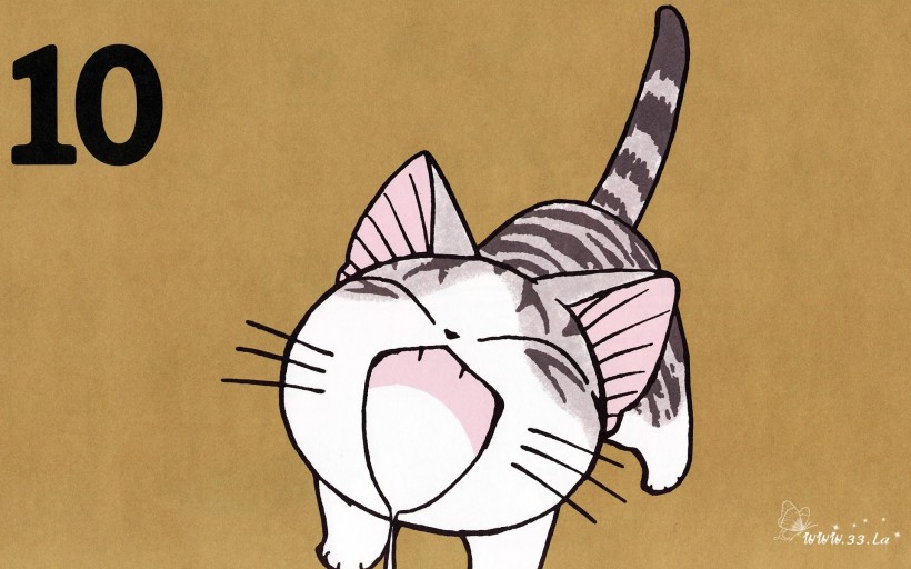 超级小萌猫起司猫图片(22张)