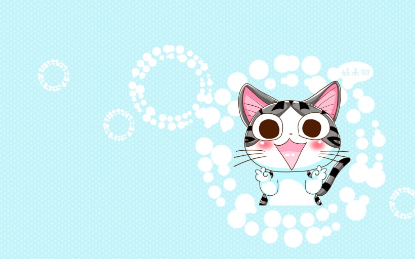 超级小萌猫起司猫图片(22张)