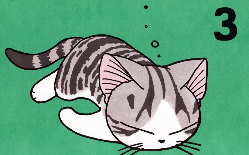超级小萌猫起司猫图片(22张)