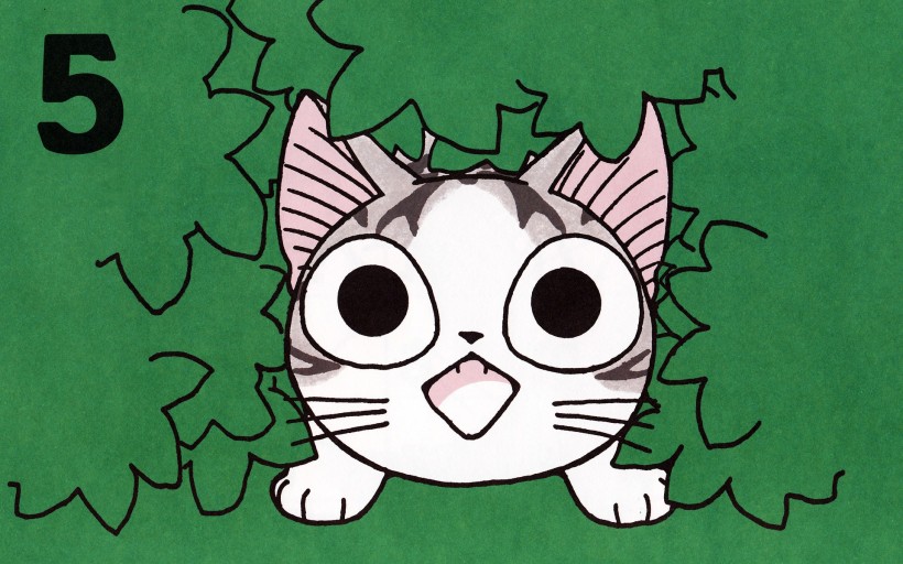超级小萌猫起司猫图片(22张)