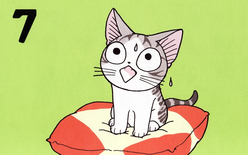 超级小萌猫起司猫图片(22张)