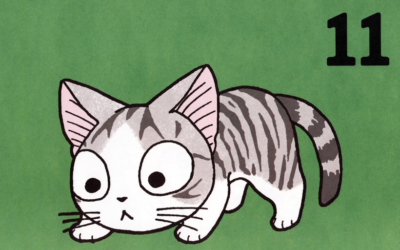 超级小萌猫起司猫图片(22张)