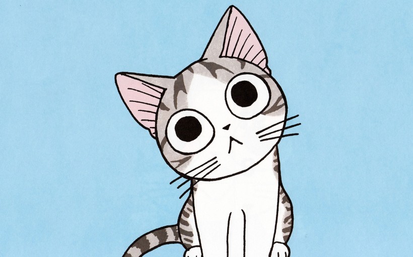 超级小萌猫起司猫图片(22张)