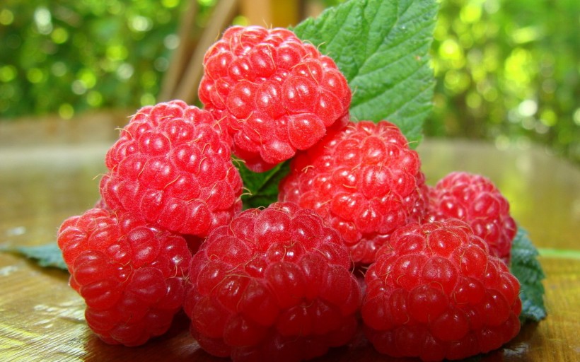 营养有益的树莓图片(28张)