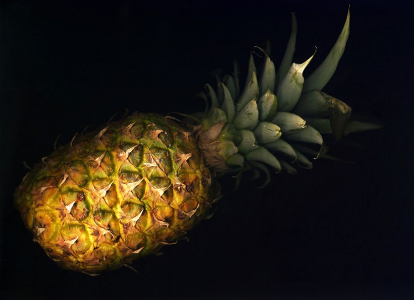 菠萝图片(13张)