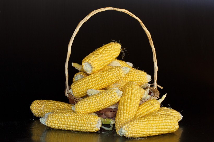 饱满的玉米图片(12张)