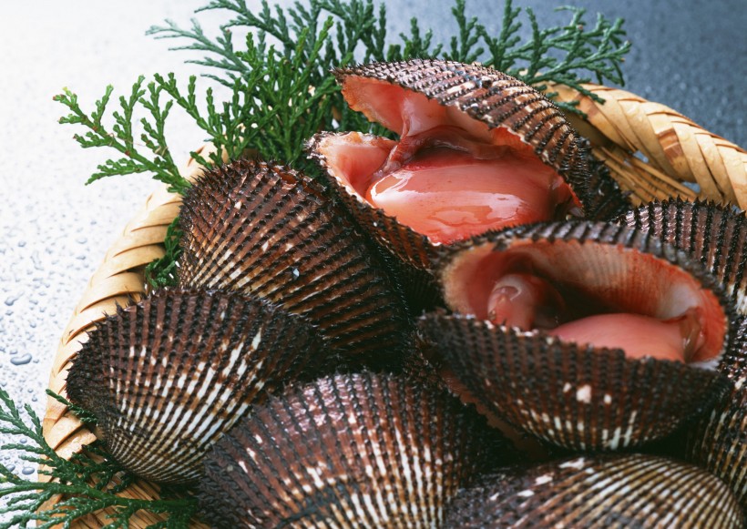 海鲜贝壳图片(24张)