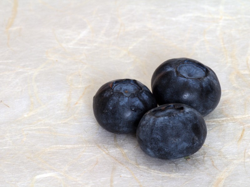 新鲜蓝莓图片(15张)
