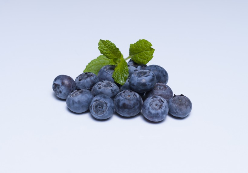 酸酸甜甜的蓝莓图片(22张)
