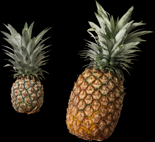菠萝透明背景PNG图片(15张)