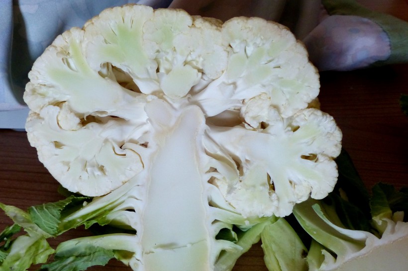 白色的菜花图片(11张)