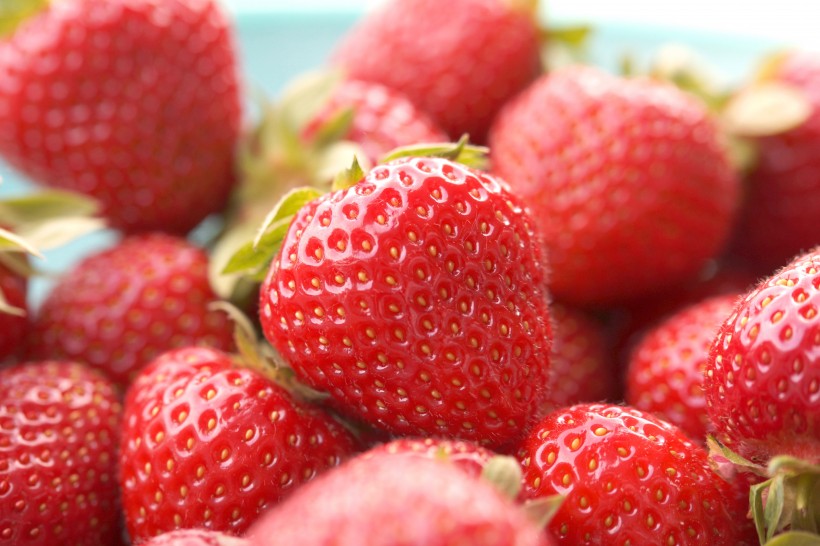 鲜红又美味的草莓图片(14张)