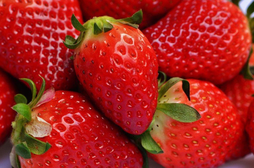 美味可口的红色草莓图片(12张)