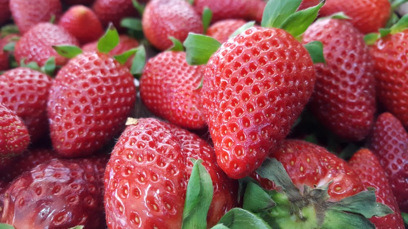 新鲜的草莓图片(12张)