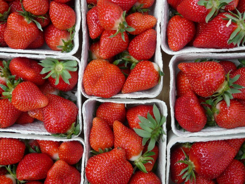 新鲜草莓的特写图片(20张)