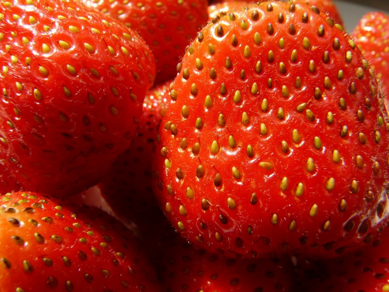 新鲜草莓的特写图片(20张)