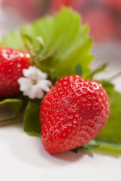 酸甜可口的草莓饮料图片(15张)