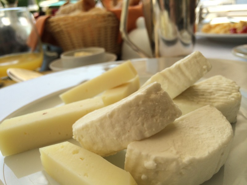 荷兰奶酪图片(16张)