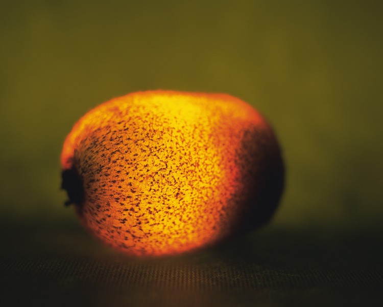 梦幻橙色发光水果图片(15张)
