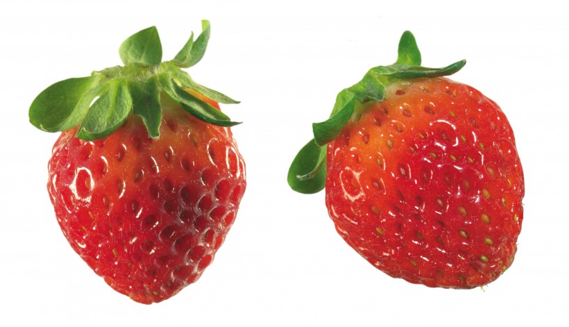 成双对的草莓图片(15张)
