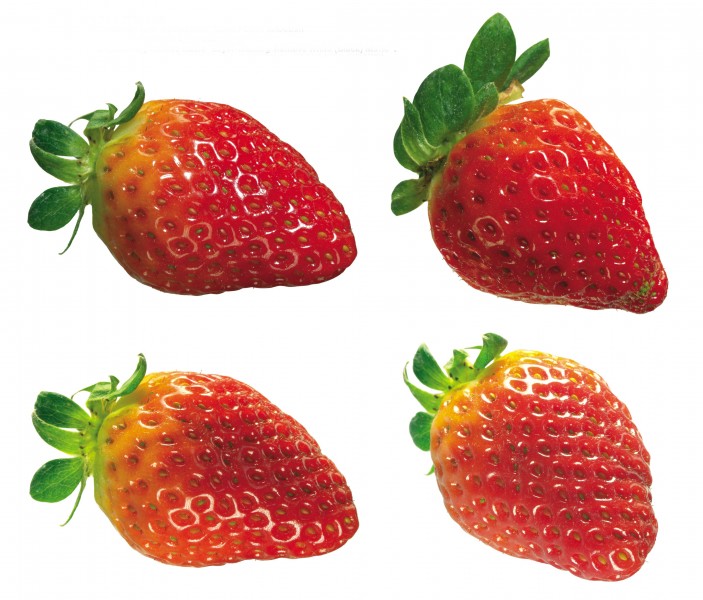 成双对的草莓图片(15张)