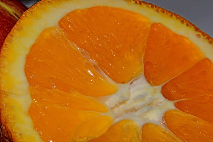 切片的橙子图片(10张)