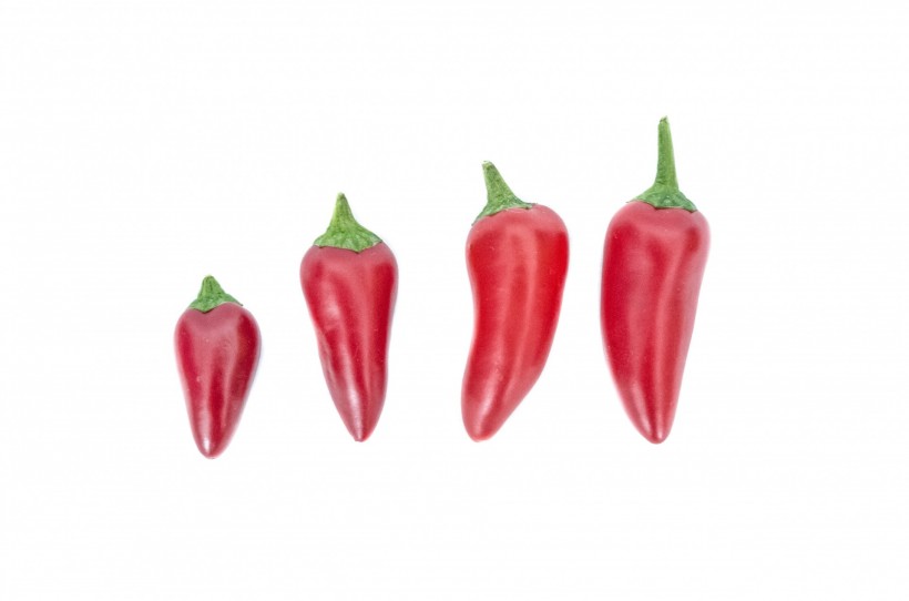 红色的辣椒图片(13张)