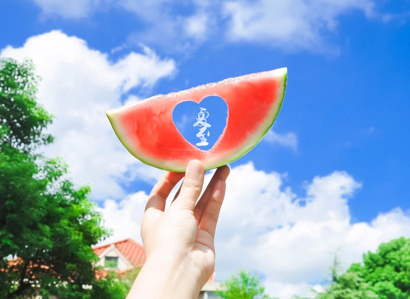 夏日西瓜创意造型图片(17张)