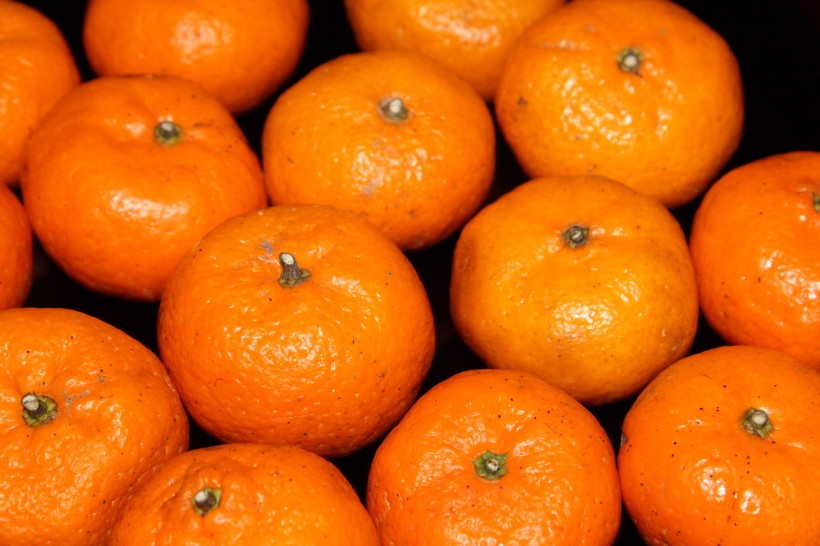 橘子图片(8张)