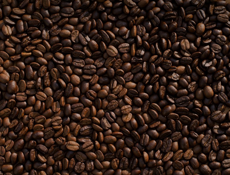 烘好的咖啡豆图片(14张)
