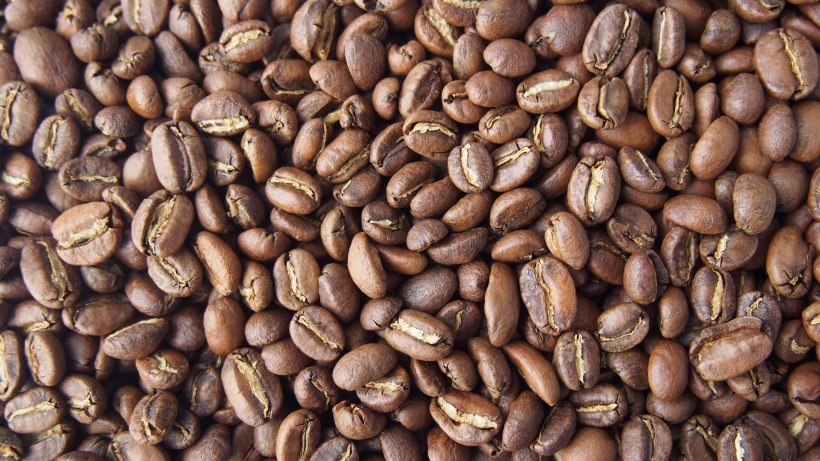 烘好的咖啡豆图片(14张)