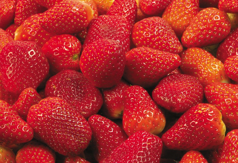 大堆的草莓图片(15张)