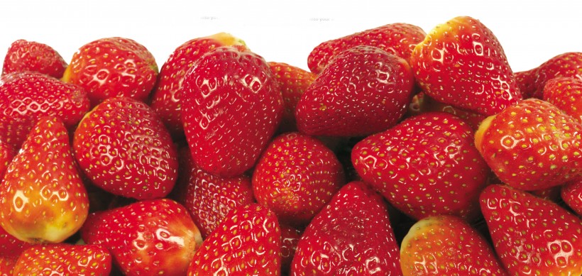 大堆的草莓图片(15张)