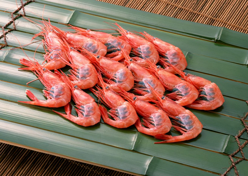 新鲜大虾图片(15张)