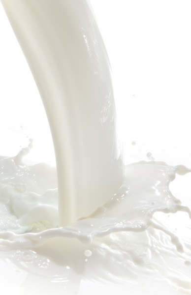 动感牛奶水花图片(5张)