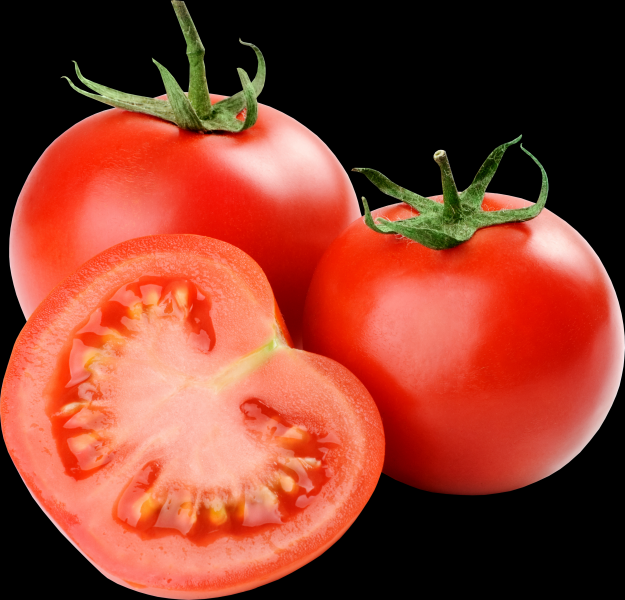 番茄透明背景PNG图片(16张)