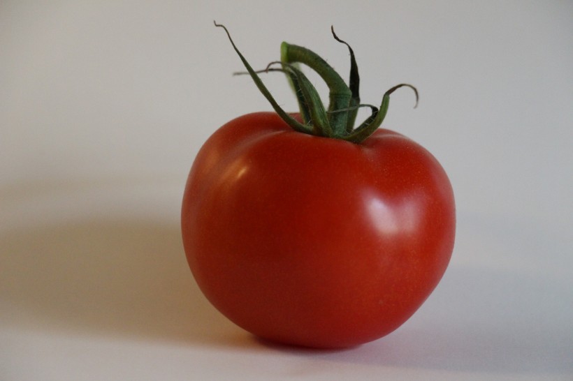 酸甜好吃的西红柿图片(7张)