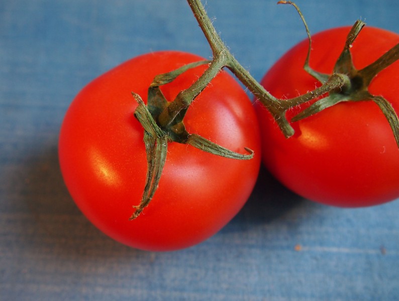 红色有营养的番茄图片(8张)