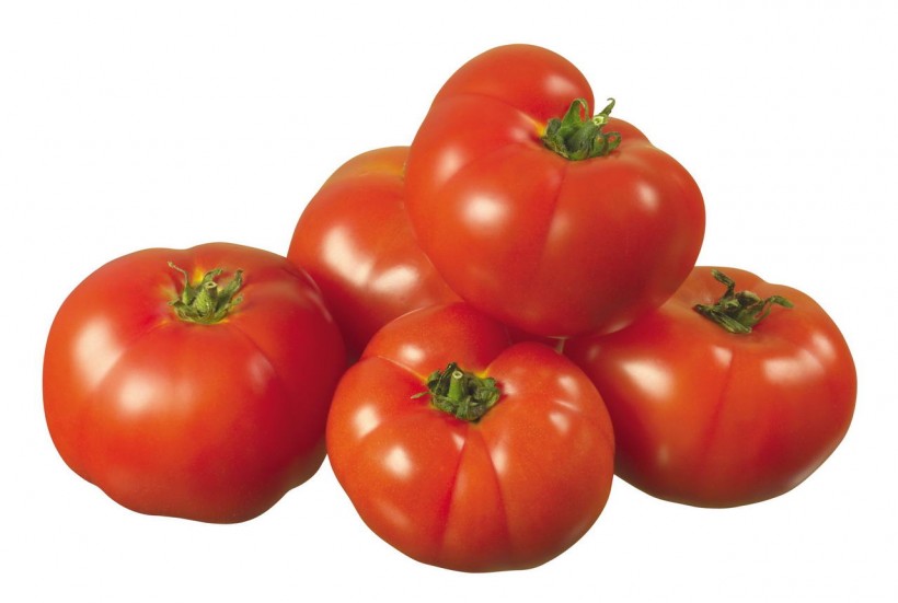 番茄图片(22张)