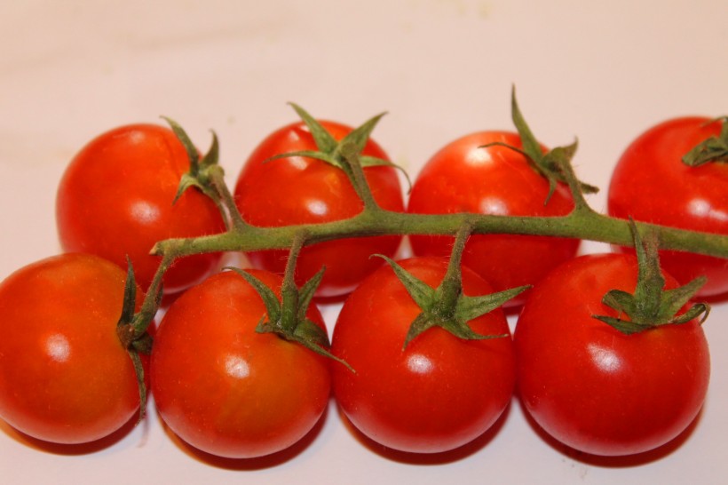 番茄西红柿图片(23张)