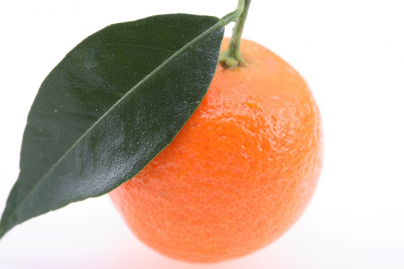美味柑橘图片(15张)