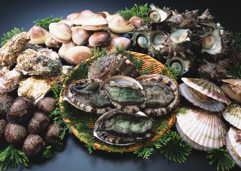 鲜味十足的海鲜食材图片(16张)