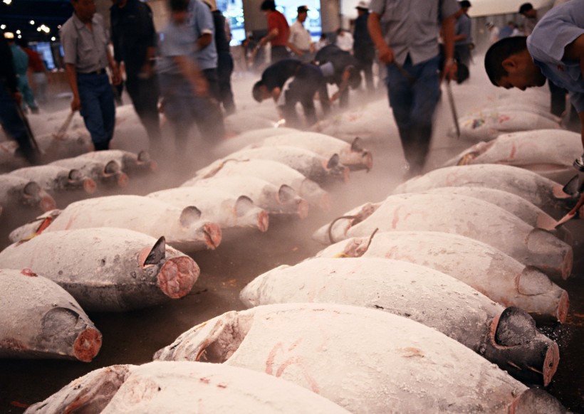 海鲜市场图片(7张)
