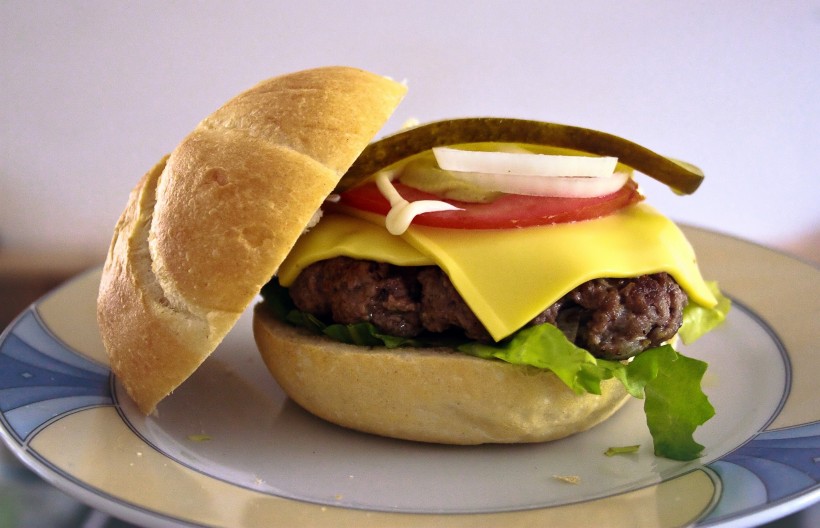 美味可口的汉堡包图片(22张)